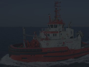 Sanmar Shipyards